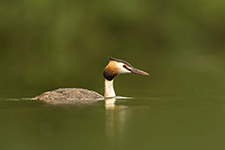 pix/hides/floating/exterior/large/2.jpg