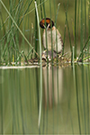 pix/hides/floating/exterior/large/4.jpg