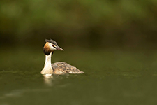 pix/hides/floating/exterior/large/5.jpg