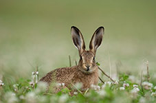 pix/hides/funnel/exterior/large/2.jpg