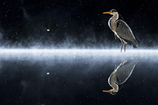 pix/hides/pond-new/large/2.jpg
