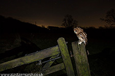 pix/hides/pond-new/large/3.jpg