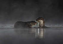 pix/hides/pond/exterior/large/13.jpg