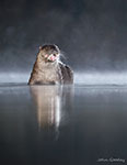 pix/hides/pond/exterior/large/4.jpg