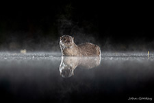 pix/hides/pond/exterior/large/6.jpg