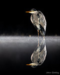 pix/hides/pond/exterior/large/8.jpg