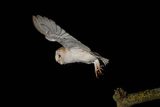 pix/hides/wired/exterior/large/8.jpg?ver=1