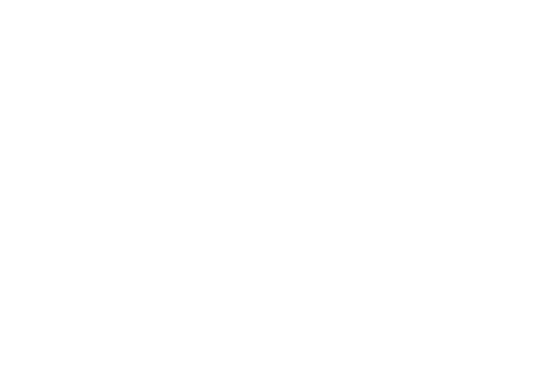 Short Eared Owls | Bourne Wildlife Hides