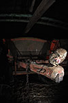 pix/species/little-owl/large/4.jpg