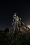 pix/species/tawny-owl/large/3.jpg
