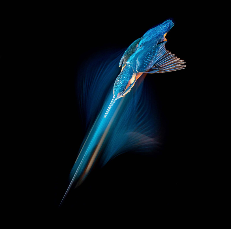 pix/workshops/large/6.jpg