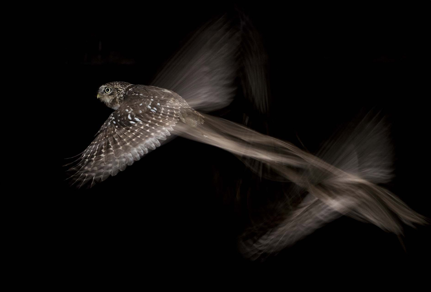 pix/workshops/large/v1.jpg