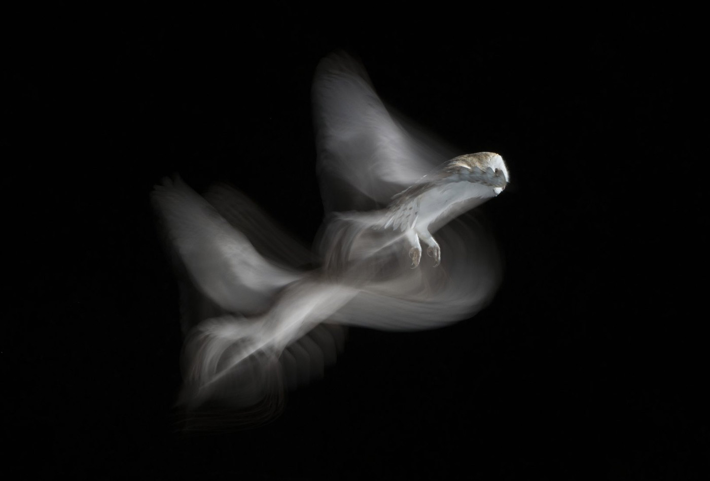 pix/workshops/large/v2.jpg