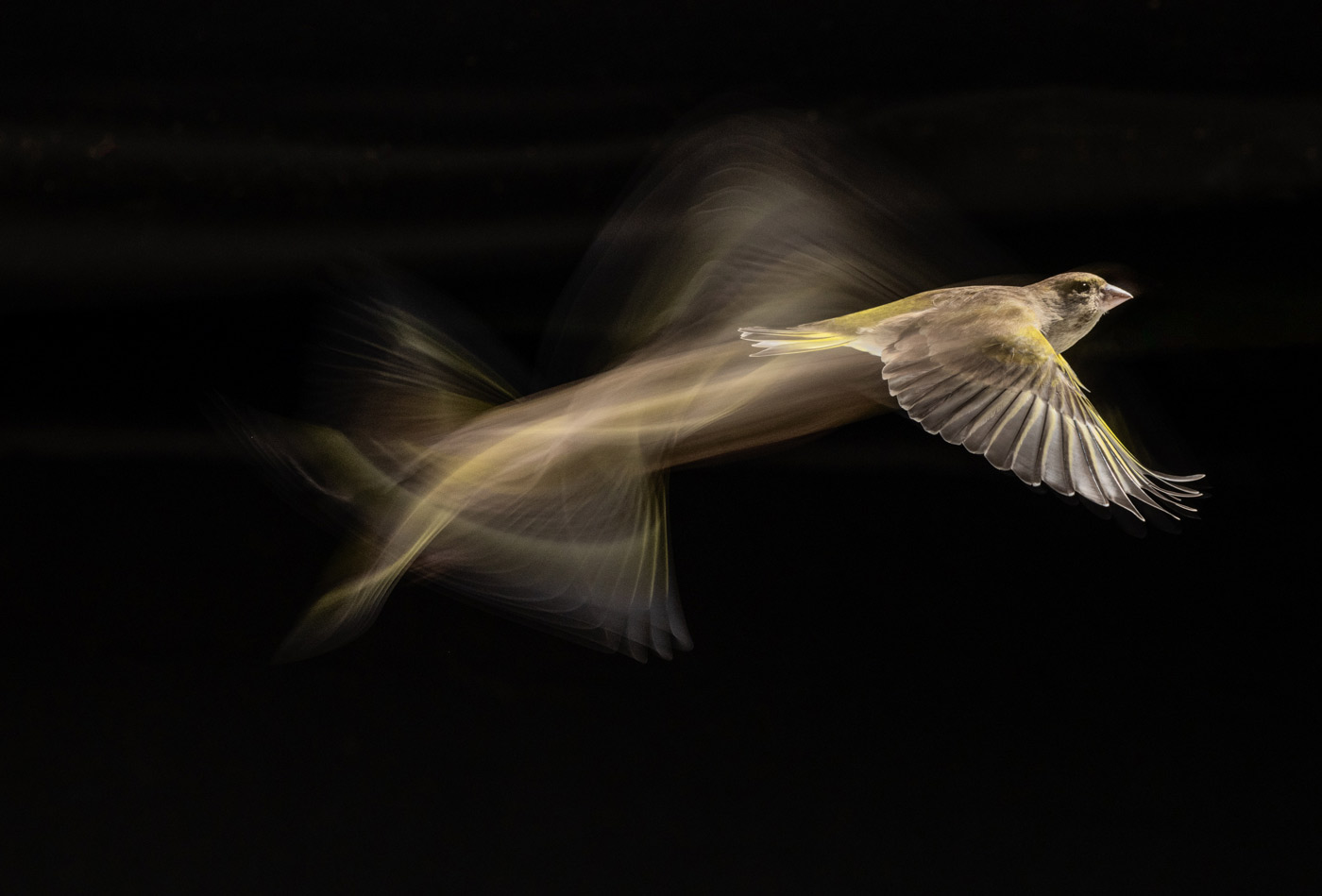 pix/workshops/large/v4.jpg