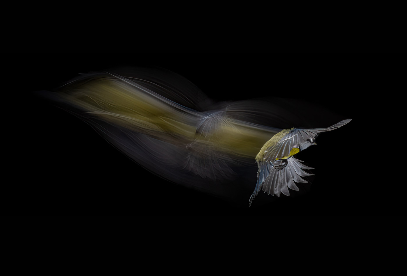 pix/workshops/large/v5.jpg