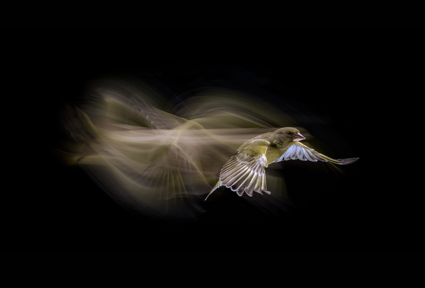 pix/workshops/large/v6.jpg